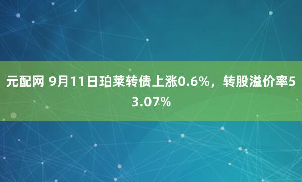 元配网 9月11日珀莱转债上涨0.6%,转股溢价率53.07%