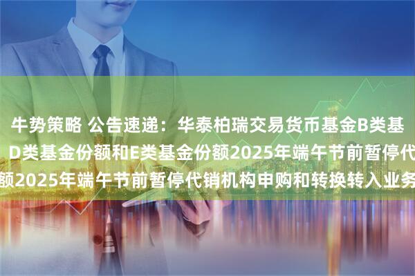 牛势策略 公告速递：华泰柏瑞交易货币基金B类基金份额、C类基金份额、D类基金份额和E类基金份额2025年端午节前暂停代销机构申购和转换转入业务