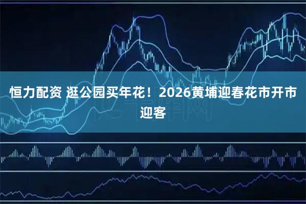 恒力配资 逛公园买年花！2026黄埔迎春花市开市迎客