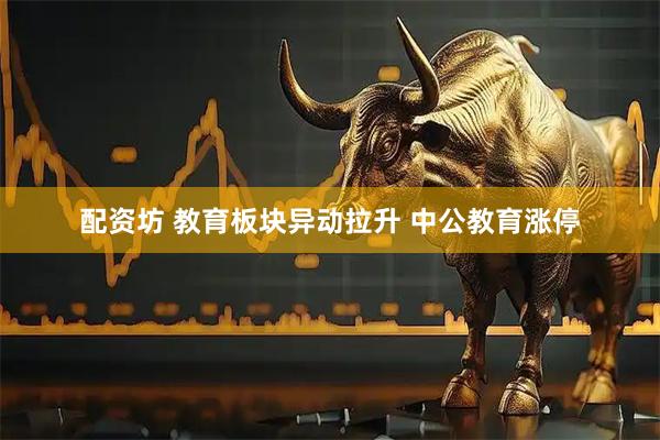 配资坊 教育板块异动拉升 中公教育涨停