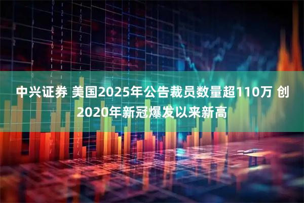 中兴证券 美国2025年公告裁员数量超110万 创2020年新冠爆发以来新高