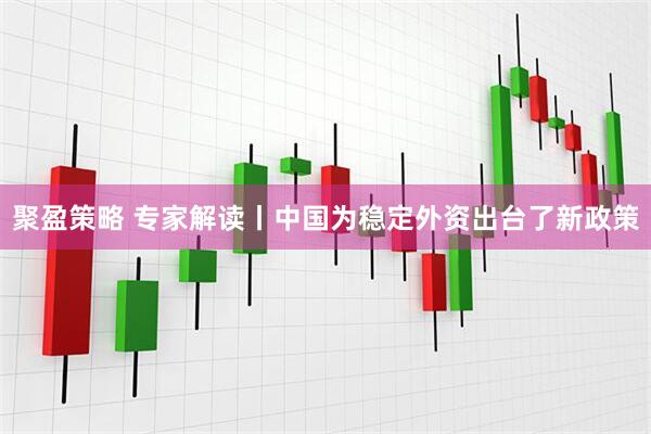 聚盈策略 专家解读丨中国为稳定外资出台了新政策